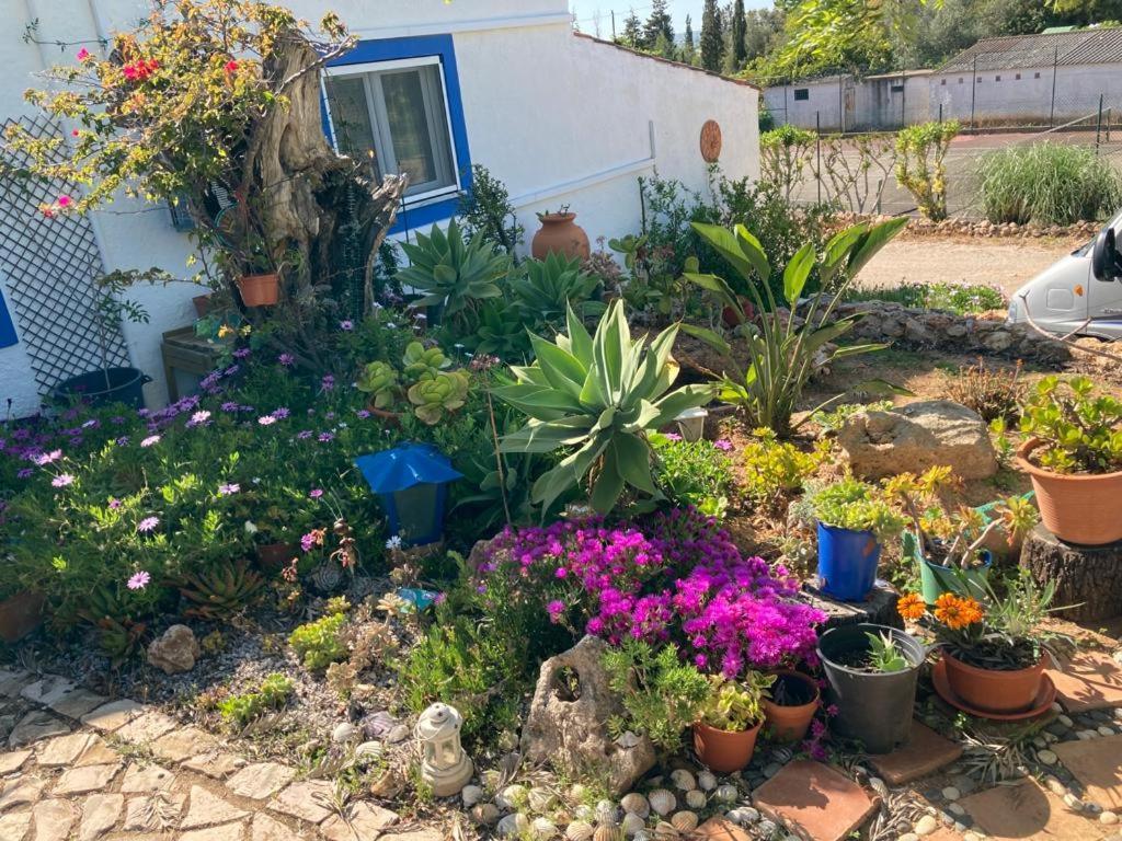 Villa Casa Joy Guia  Esterno foto